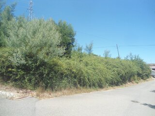 zrkhqbkjw7x27779f3ia.jpg