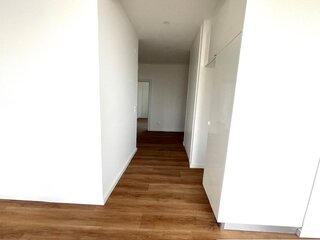 qd50ynfmptiehffihvx9p8.jpg