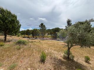 0immcwbo2pa5wa5x611i6q.jpg