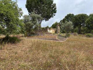 4c35904t55iox4q6yct25e.jpg