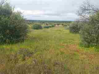wjbij4qhuybvtywrok0zub.jpg