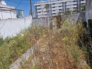 lrz6tlv58yll6owh7ztfbg.jpg