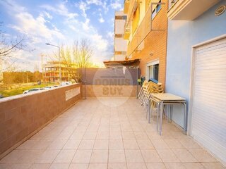 0mqa1nhfr0x6t53sdpn18d.jpg