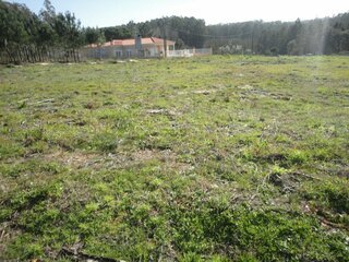 uci8ougirta8ctzpi14q.jpg