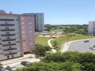 8ejo8ozsebq5q84qtgx17.jpg