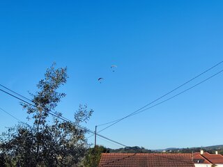 31fftxvkb7dti5t3mwhfx.jpg