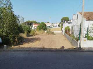 tadbrs612yb8qrzoix73lq.jpg
