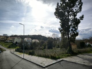3lijgj8hpoan87x5s70o4.jpg