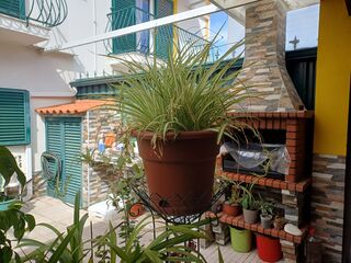 p1537jwtrr989jhnhtz6.jpg