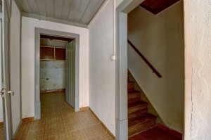 jx3ktg5bg7hk215rz1s5l.jpg
