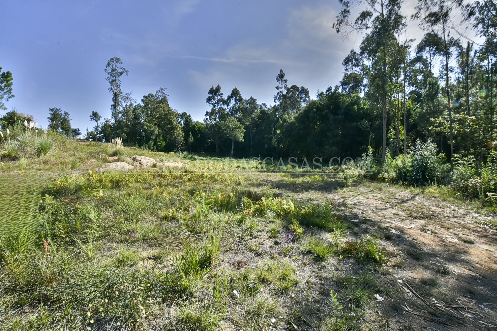 Terreno