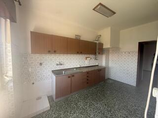 wpubuqza55j4i51wcp8lho.jpg