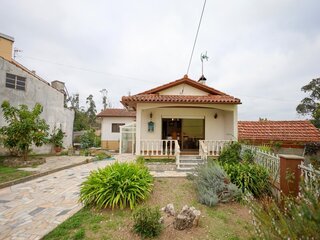 jewsmsjthrcicwlzw50l.jpg