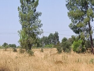 6suke5f185xxinyqtnh3.jpg