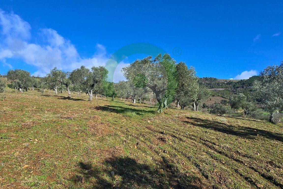https://images.crm360.pt/imoveis/j88doz/foto_marca_agua/h4e468ka855y93lm5szgtr.jpg