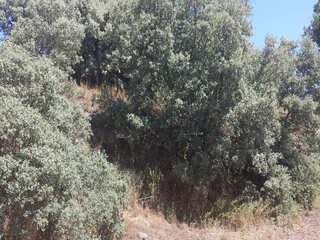 u9cexxpr9aa08tokikz0ojr.jpg