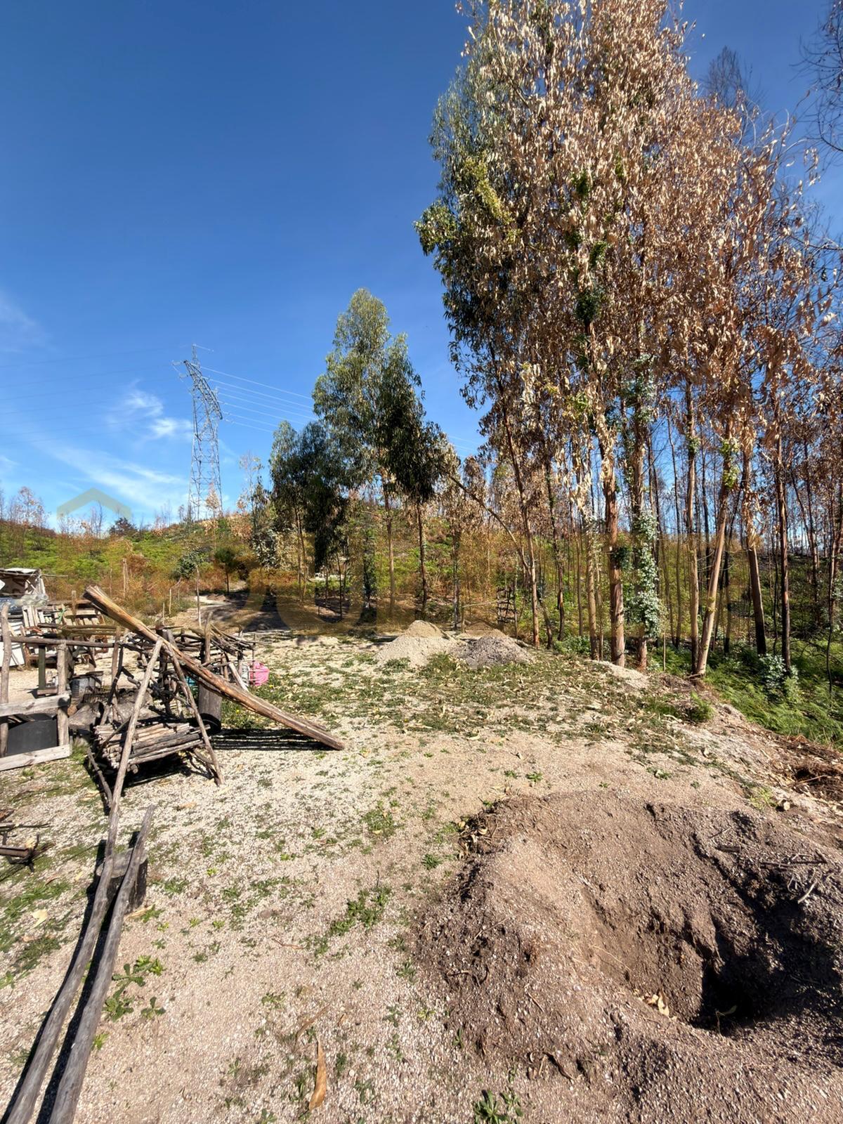Rustic Land
