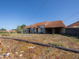 ao5krg1v44gu4354ro3wnp.jpg