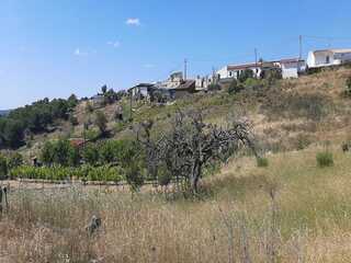 idu9icwc3im0us9oppdz82d.jpg