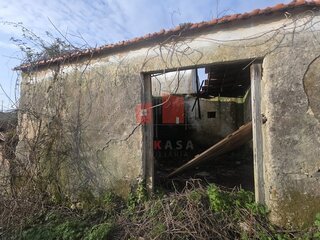 ac20qxl5dd4pq00r3ktoog.jpg