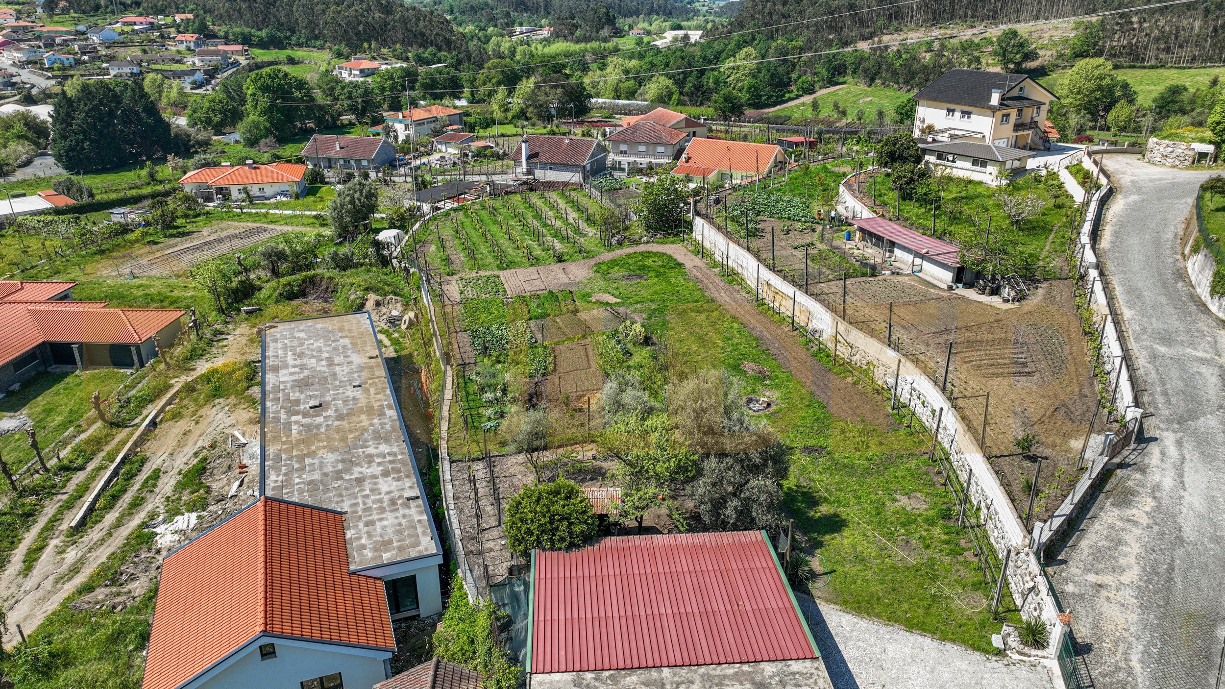 Terreno
