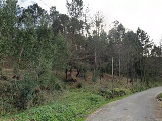 2dfoxod3qxrph82vr62rf.jpg