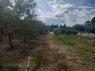 03y733bbusvi1p5v82x4unm.jpg
