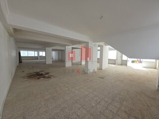 vqm3wy82gnhjkecos2aa9.jpg