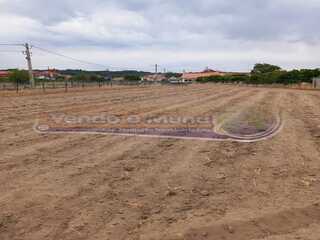 dwq00fjh0345yzbohr21ws.jpg