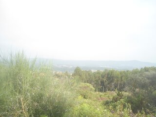 230fyq0b3q6xv1inigao1m.jpg