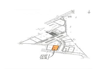 cls5yhdf167h1r47tzl1kn.jpg