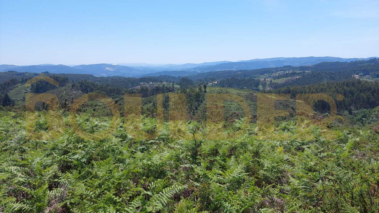 Tierra rústica
