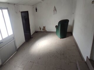 vnzid1det85vxip9lzs3g.jpg