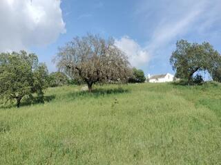 3735p1nulr93z5s2jrvn1.jpg