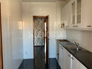 8dp3otdtdn9y260dzy87.jpg