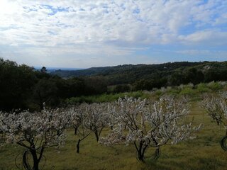 svbdz5i433d6ra7qhckwq.jpg