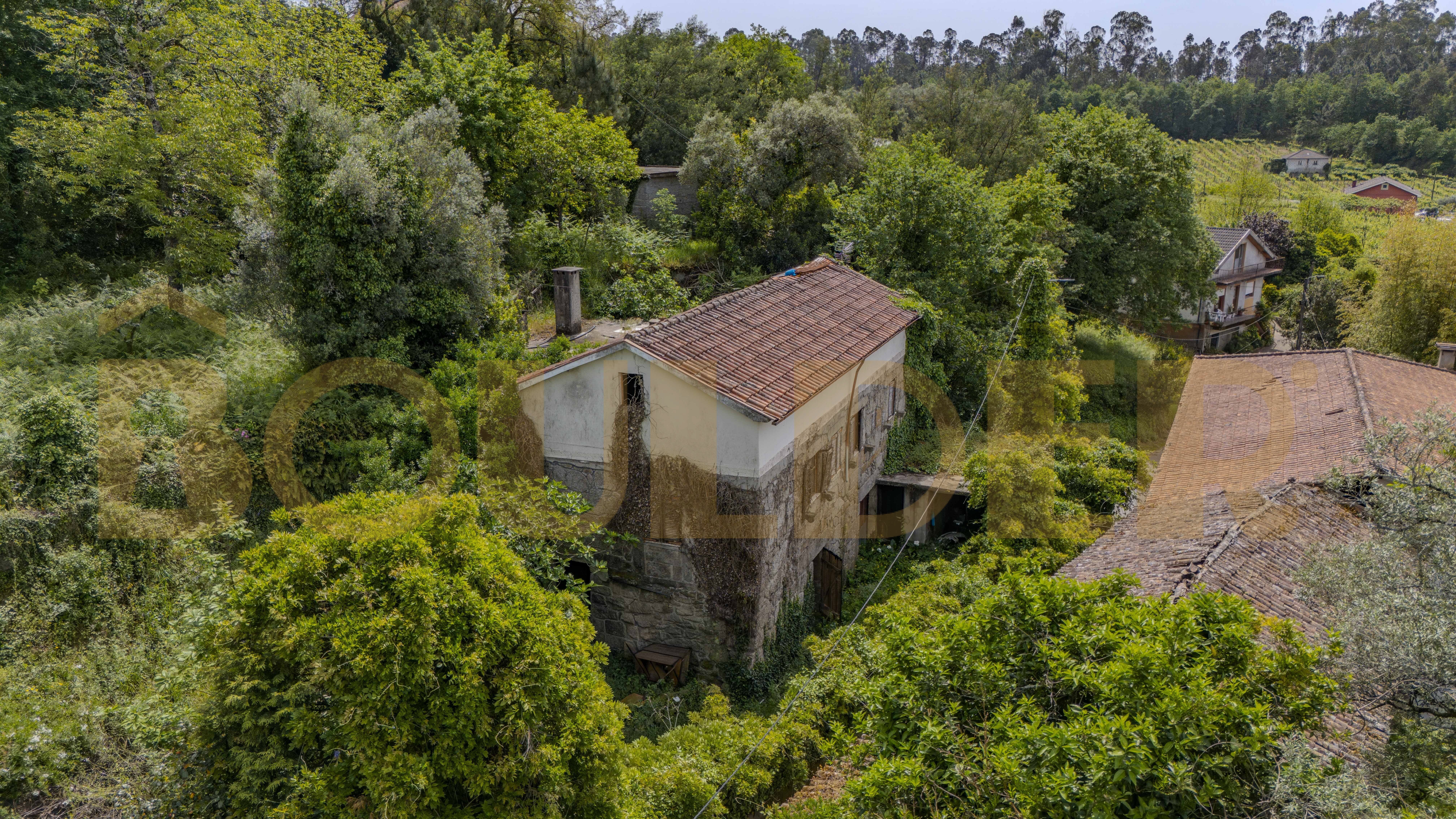 Casa independiente T3