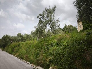 ehm9b6hm23lzkcnn2we8gk.jpg