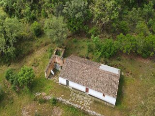 sf1dr4mibho5kniobol7h.jpg
