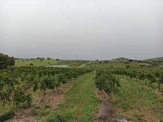 06gwzjeufqno283lbuuxp9.jpg
