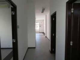 t8kjmrbqxlnfx5vm2ch89c.jpg