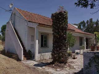 84pya7d930npm10vla3ce.jpg