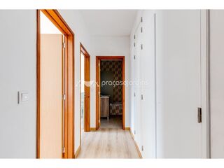 edu124h1ckn8au0nm4eiw.jpg