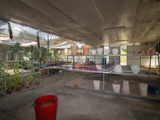 g75iqqst9s4kkqxa67r65.jpg