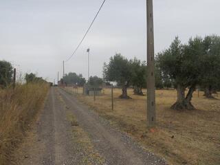 3vak5y04zlqpldka62r2q.jpg