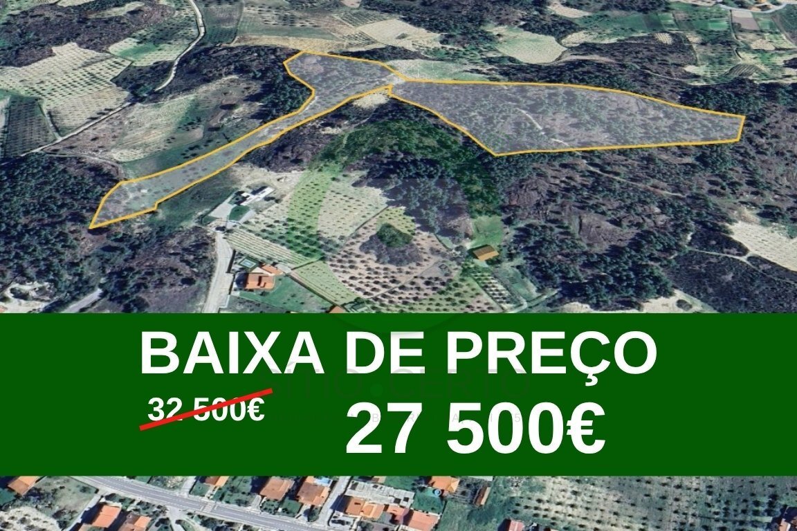 https://images.crm360.pt/imoveis/wnezex/foto_marca_agua/6wutoc9nnldkq34tqhyf5.jpg