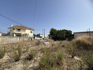 a9yxs68nraxqxel8jezg.jpeg