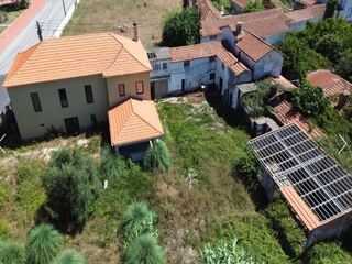 zi5kl52sm3pmm9ocapinza.jpg