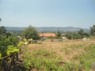 196mw9cf7ut6i8i4n9sd3t.jpg
