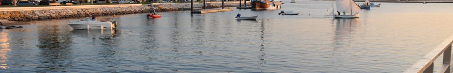 bg-image-topo-about-dwm10w